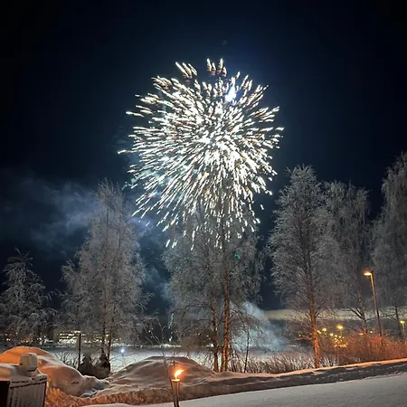 Apartment Harju Hill Silver
