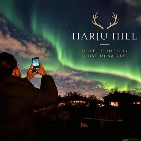 Harju Hill Silver